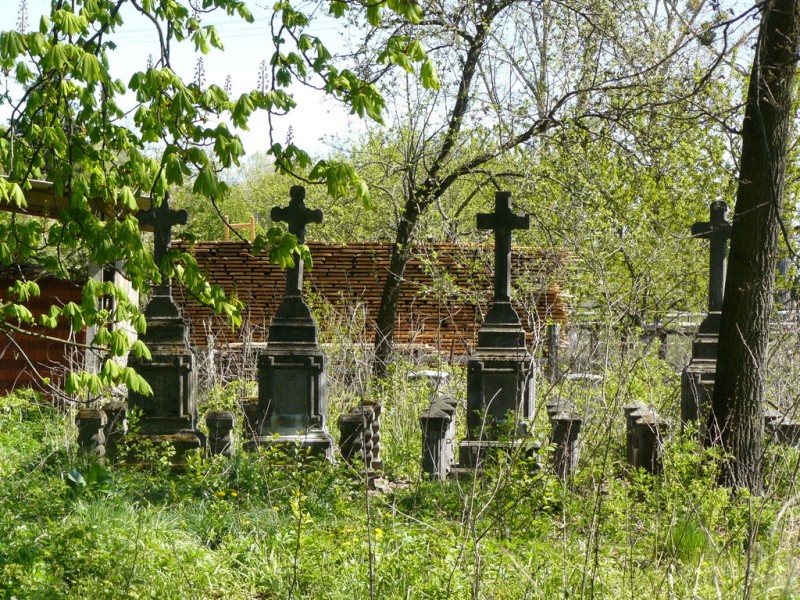 Alter deutscher Friedhof in Niederschlesien. / Marcin Rogozinski, n-ost