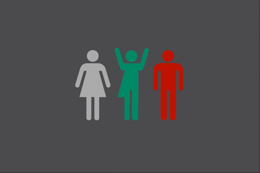  „Wenn wir die Istanbulkonvention ratifizieren, dann werden Männer, die sich als Frauen definieren, Damentoiletten benutzen“  titelte die Website dariknews.bg. / Grafik: n-ost