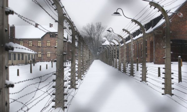 Auschwitz / Agnieszka Hreczuk, n-ost