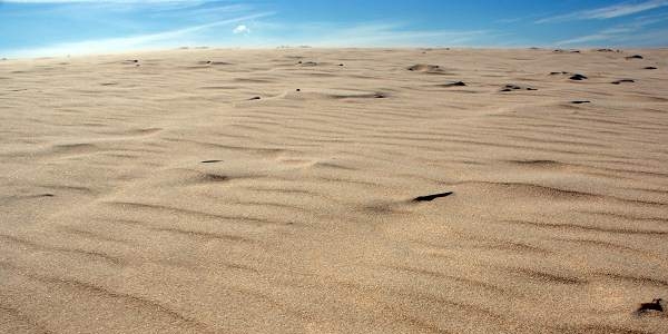 Sahara an der polnischen Ostsee / Agnieszka Hreczuk, n-ost