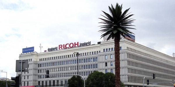 Die Palme vor dem weißen Börsen- und einstigen Partei-Gebäude war einst Teil einer Kunstaktion für ein farbigeres Warschau. Heute ist sie beliebtes Fotomotiv / Agnieszak Hreczuk, n-ost